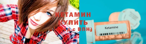 крисы Армянск