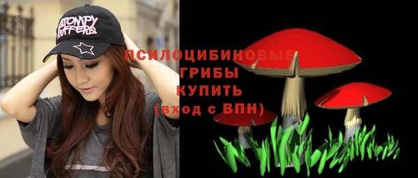 крисы Армянск
