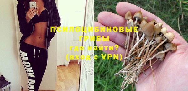 apvp Аркадак